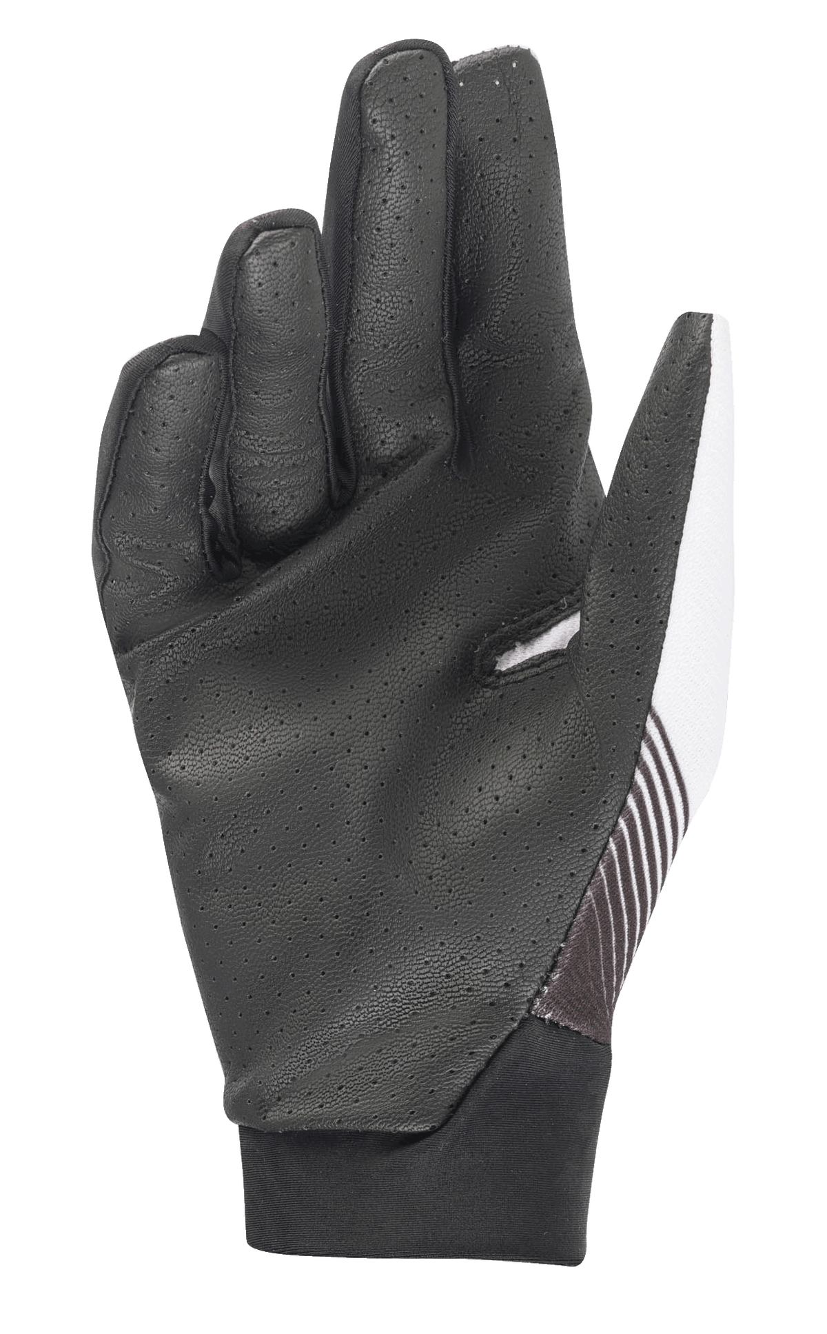 Teton Plus Gloves