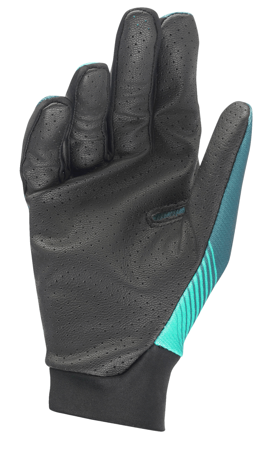 Teton Plus Gloves
