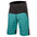 Denali Shorts