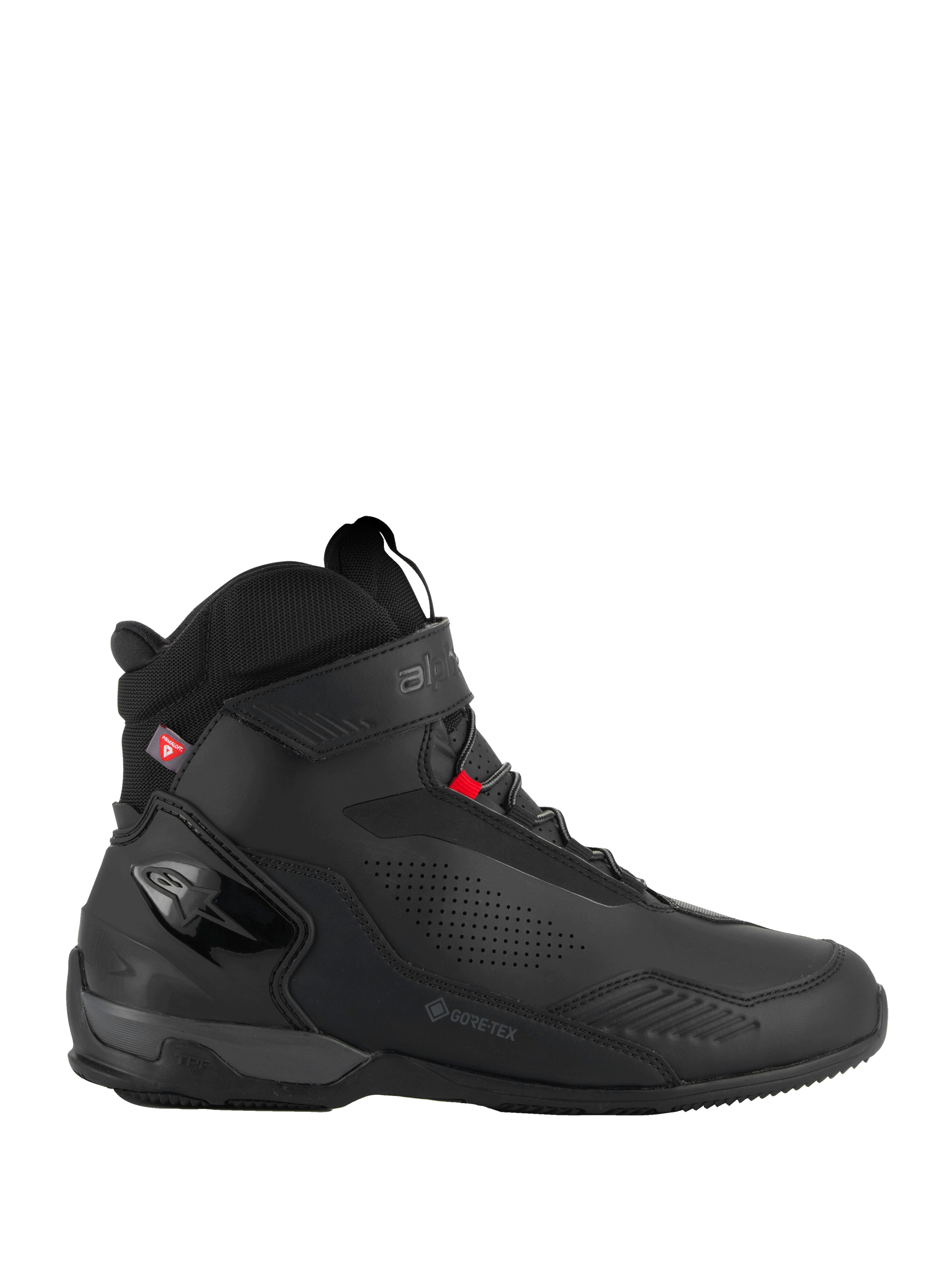 Austral GTX Chaussures