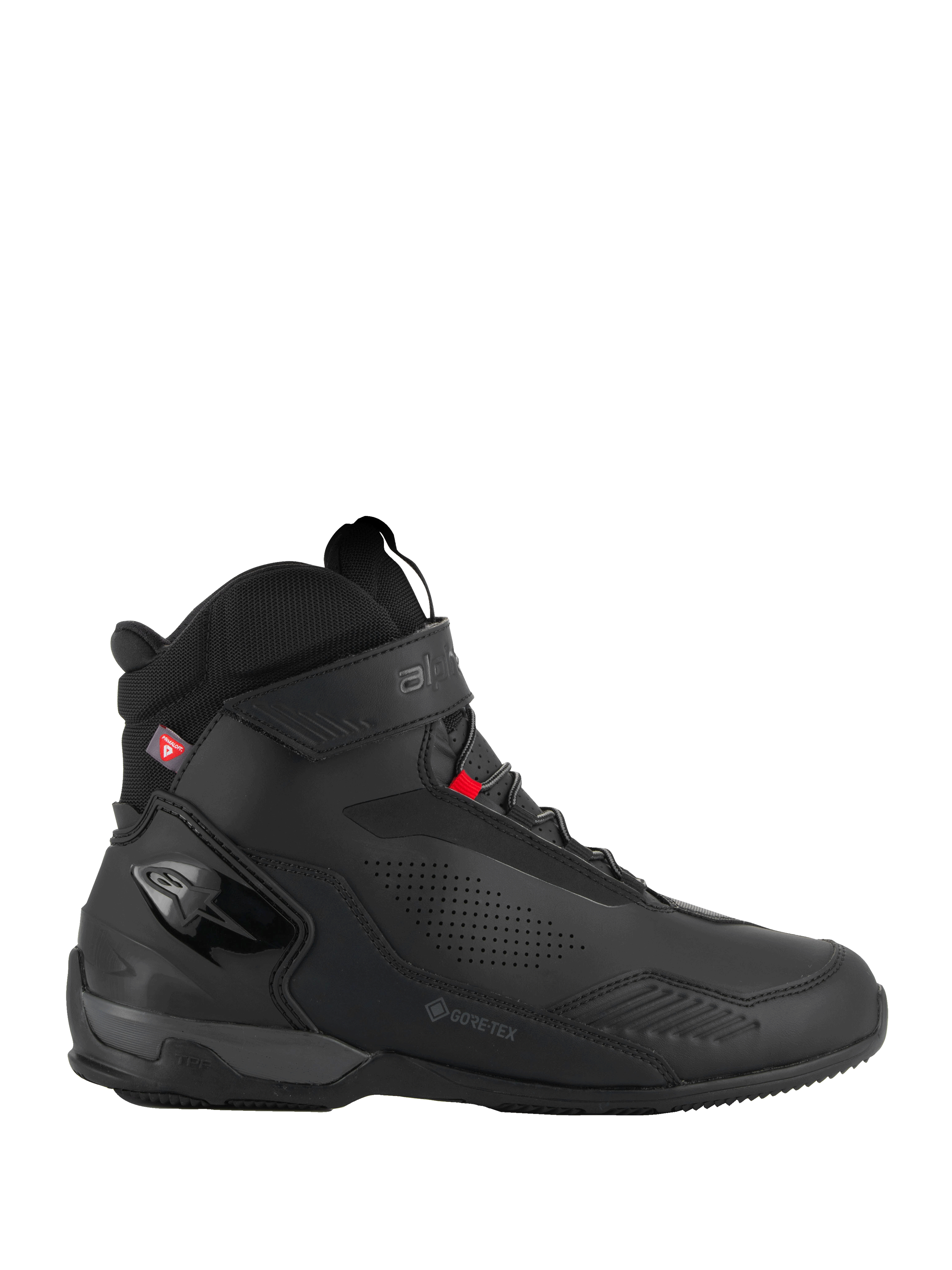Austral GTX Chaussures