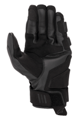 Alpinestars Phenom Leather Gloves, Motorcycle Gloves, Black, palm and side view showing premium goat leather construction, reinforced side hand and landing zones, short cuff with hook-and-loop closure, touchscreen-compatible fingertips, sport performance riding gear