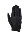 Stated Femme Gants