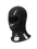 ZX Balaclava Evo V2 SFI