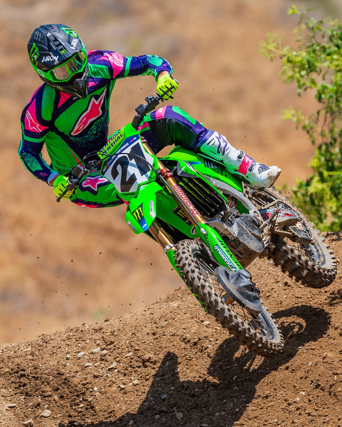 Image 35948855132396