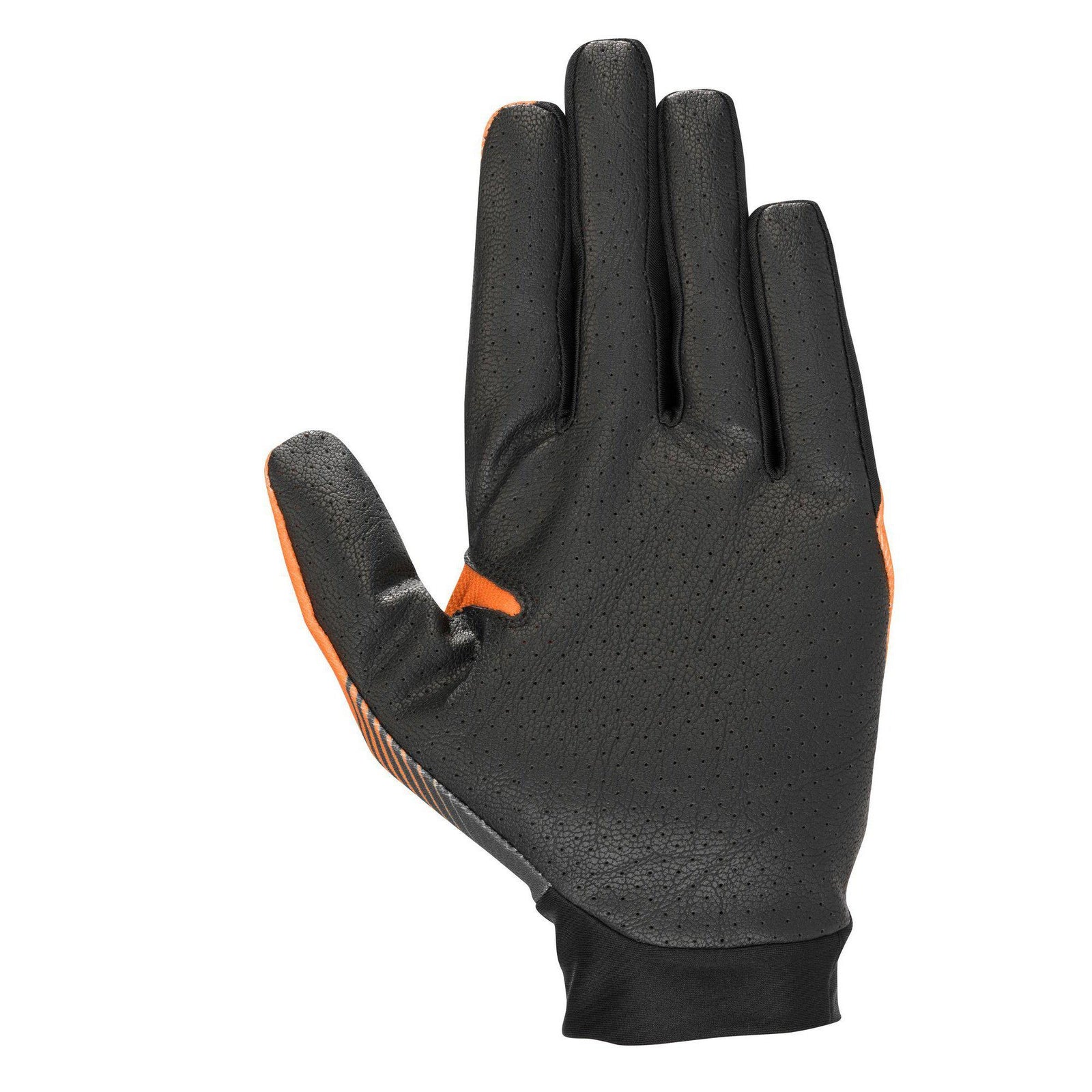 Teton Plus Gloves