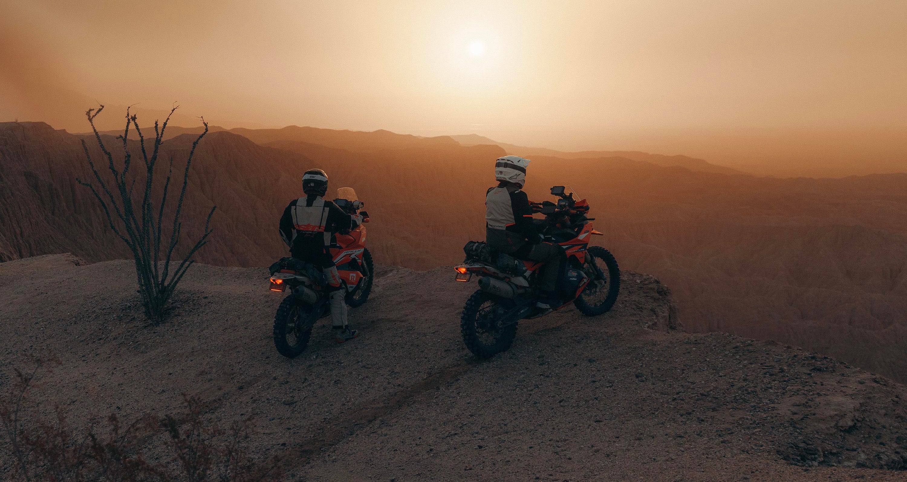 Image 36040451293420