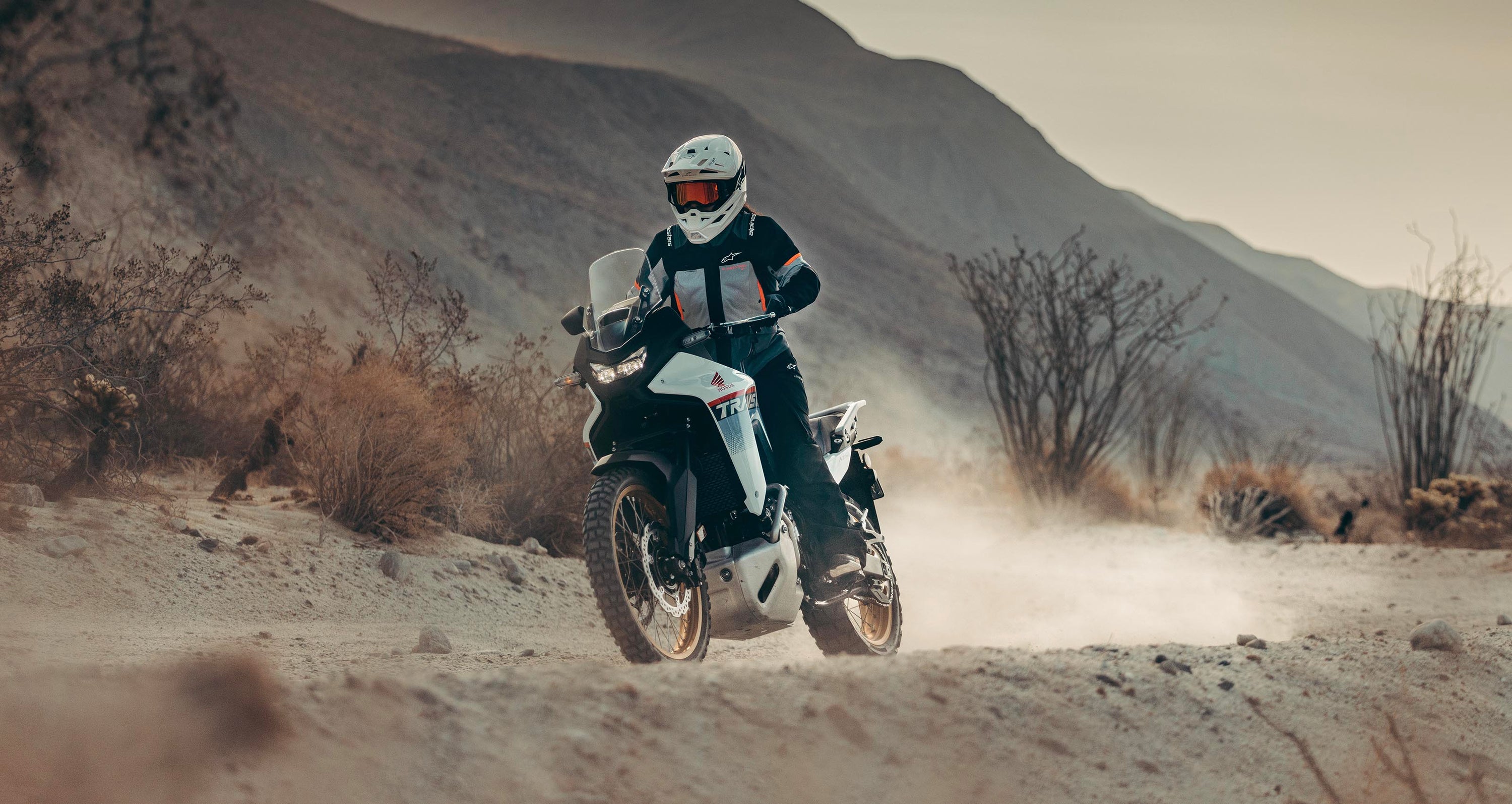 Image 36040513356012