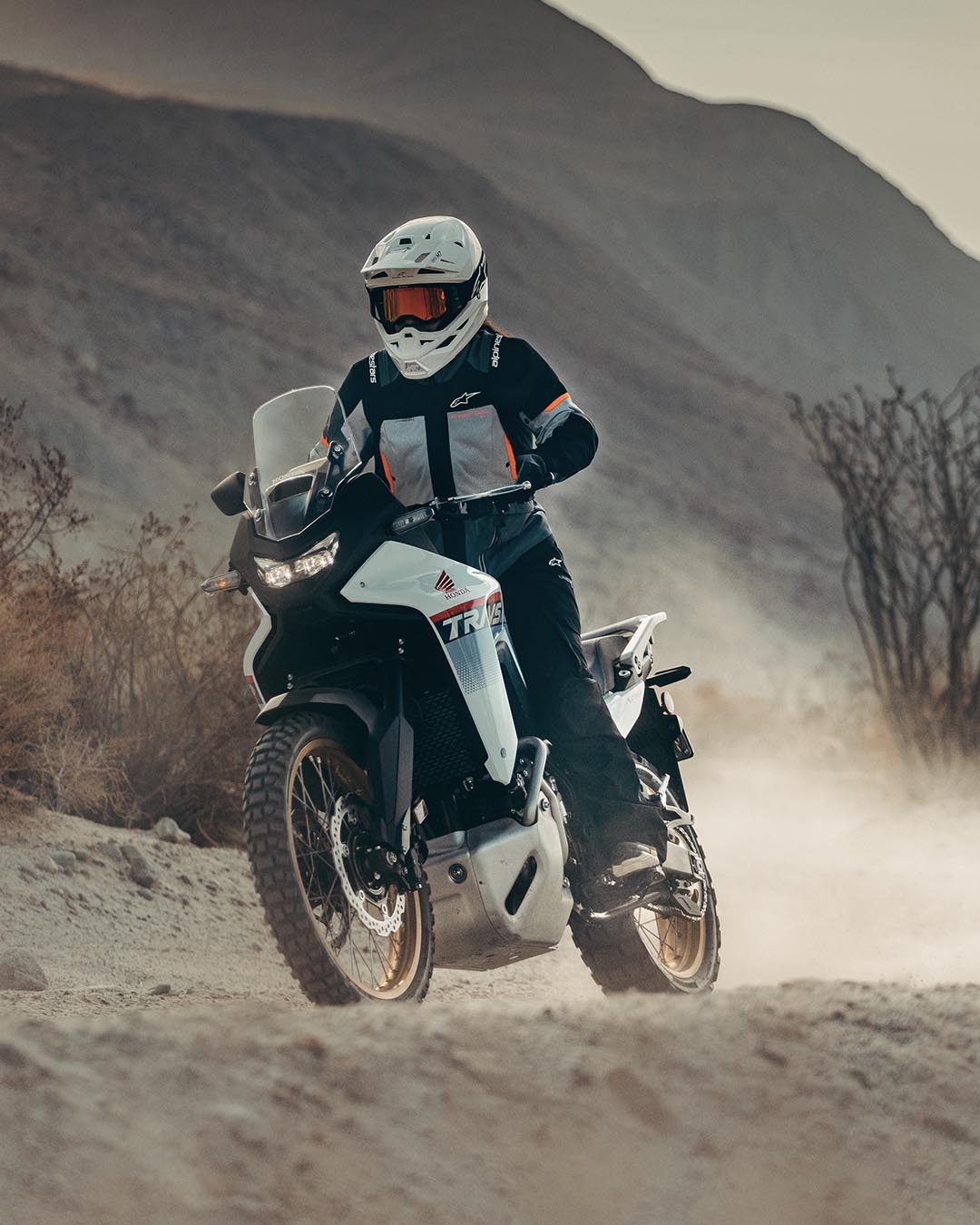 Image 36040402141420