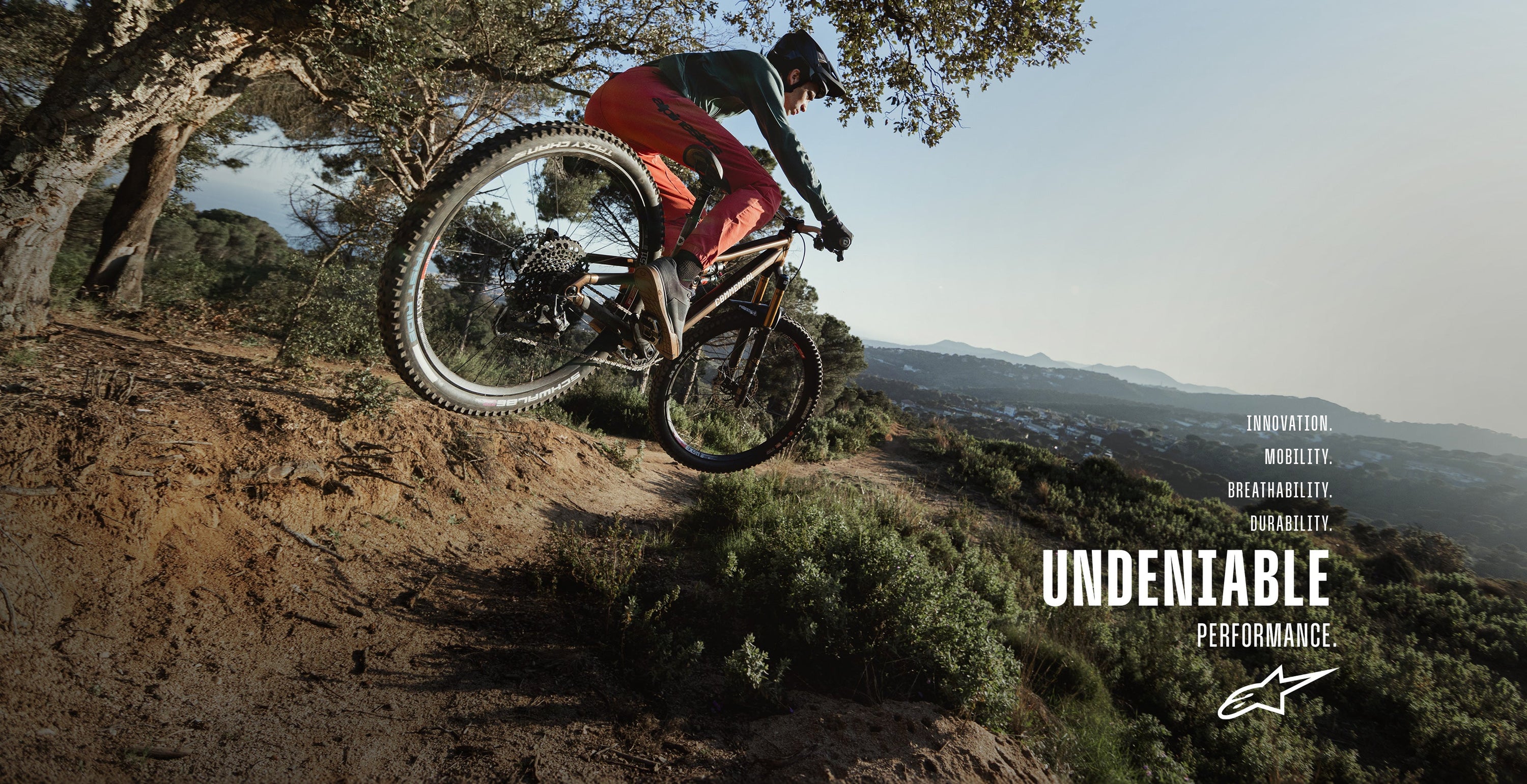 Image 35240463270124