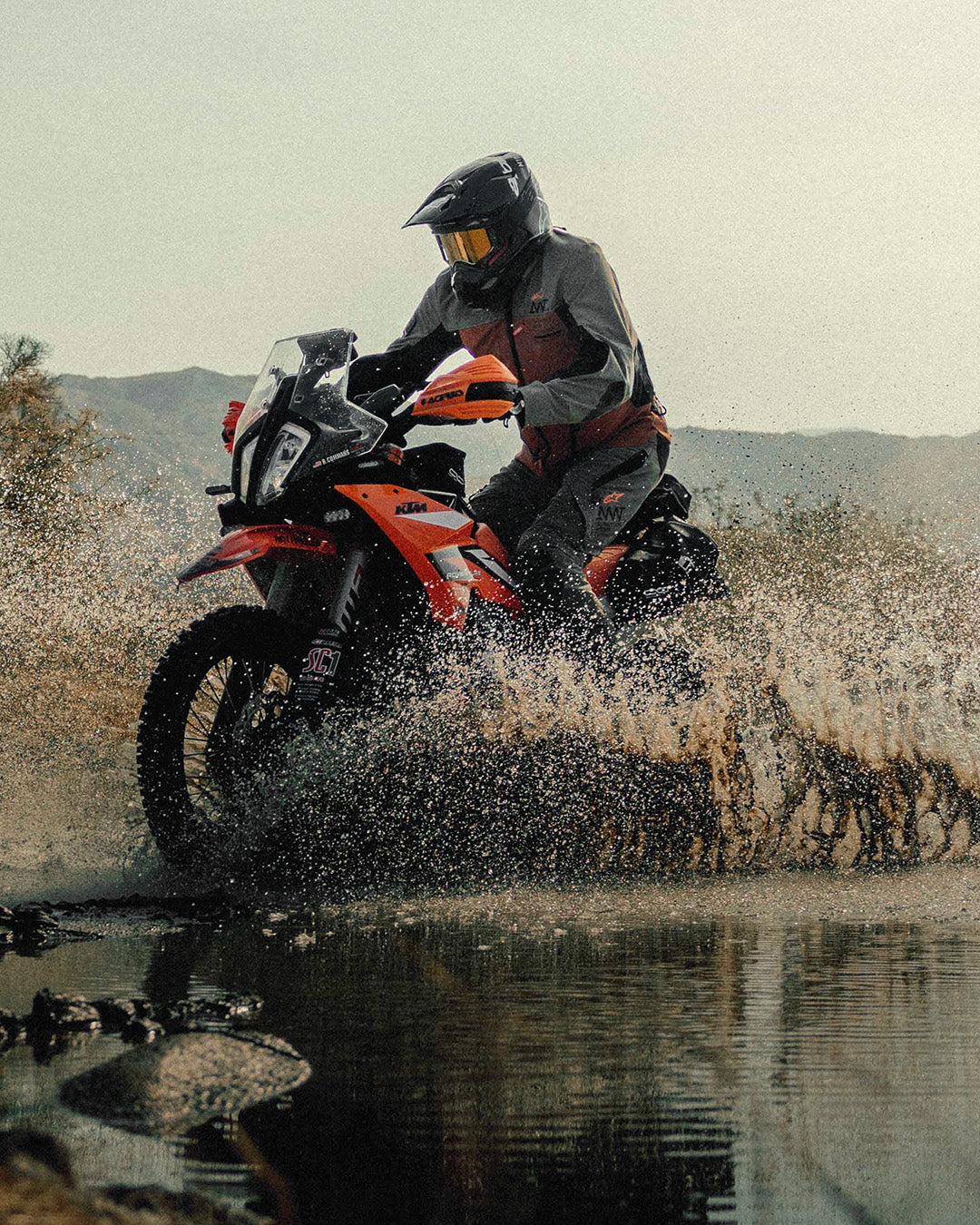 Image 36040444018924