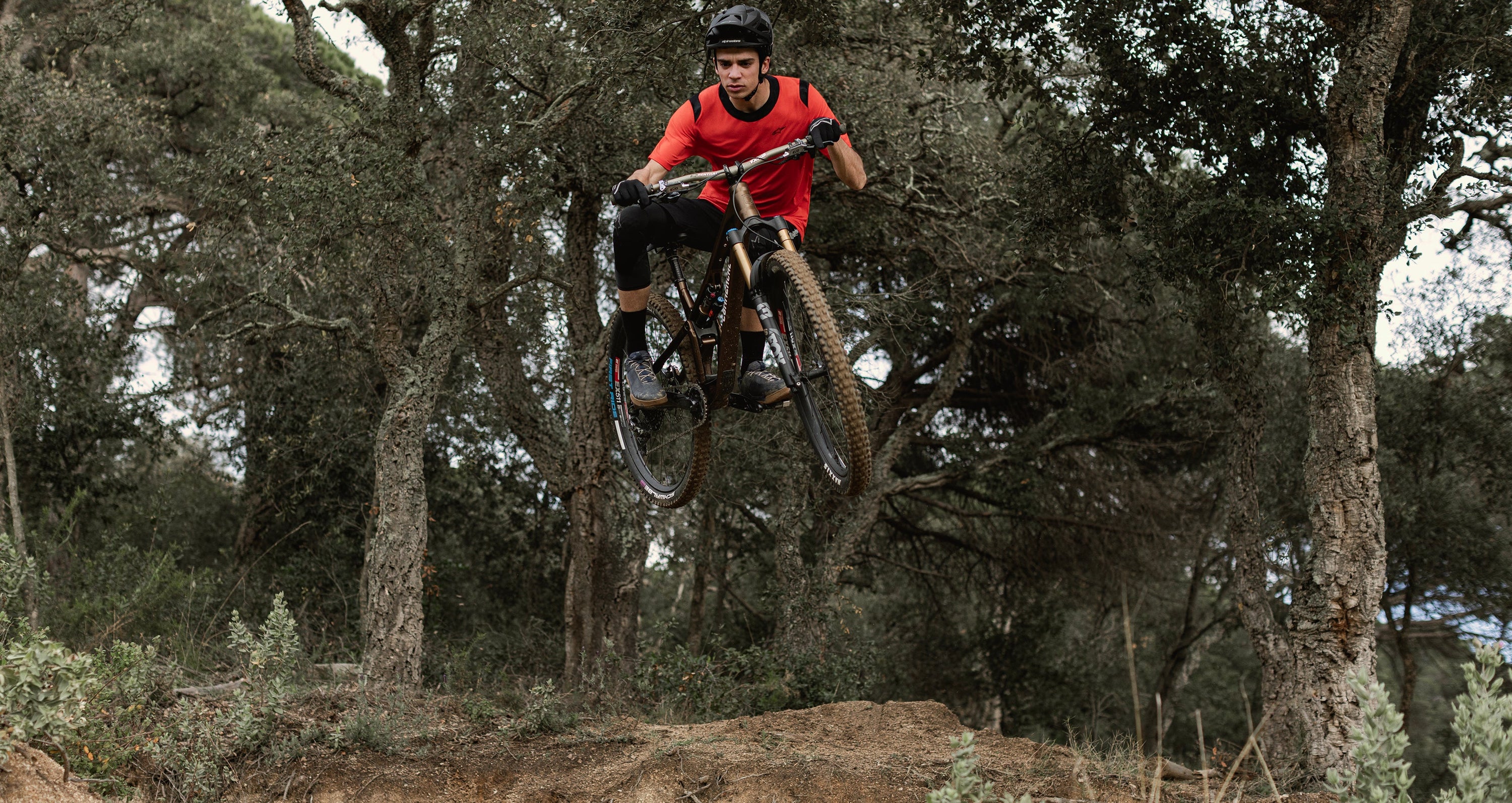 Image 35948863488236