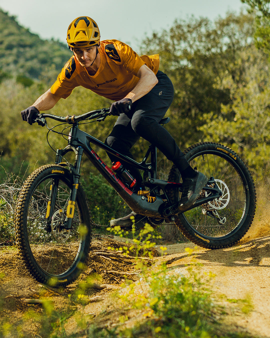 Image 35948908773612