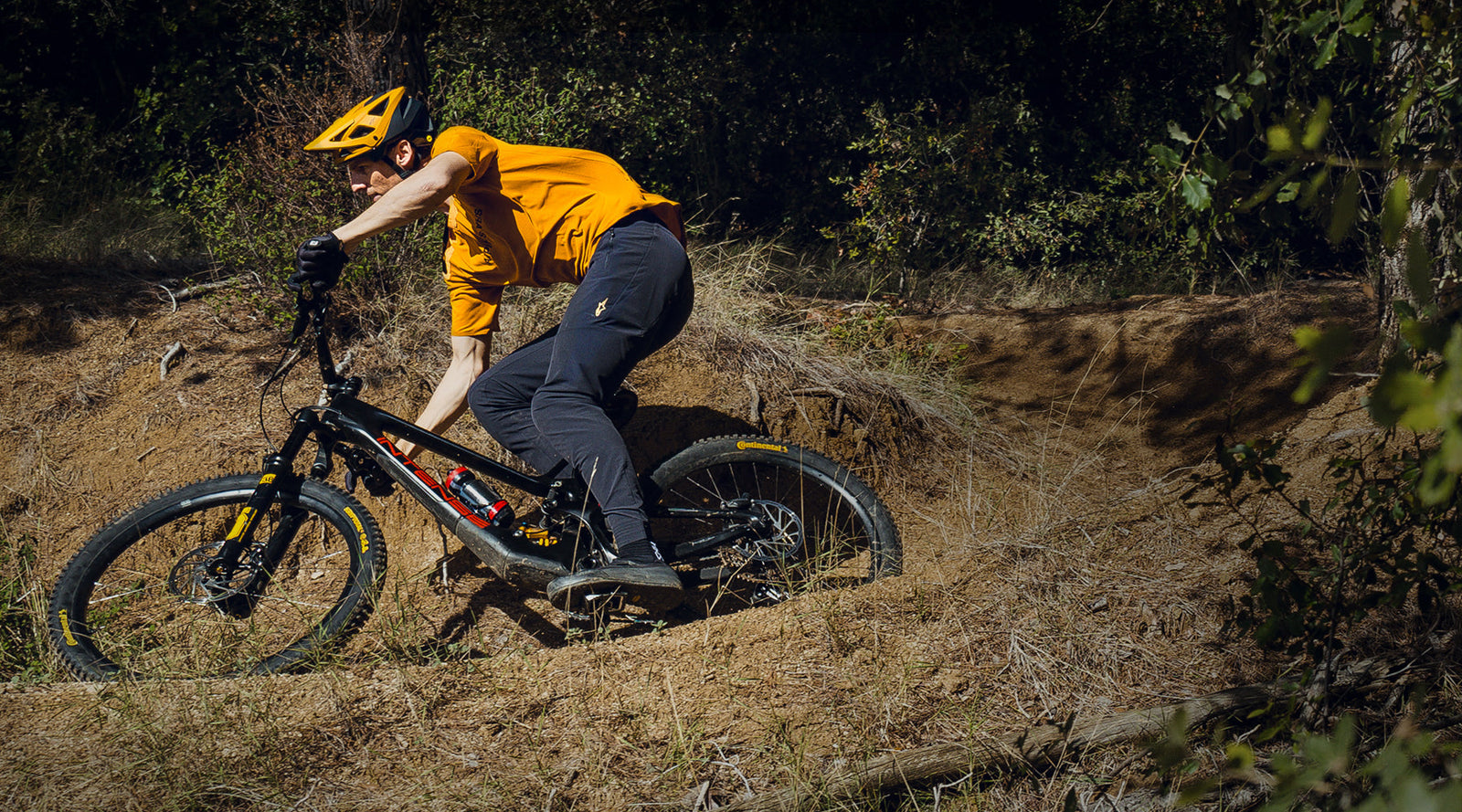 Image 35948907200748