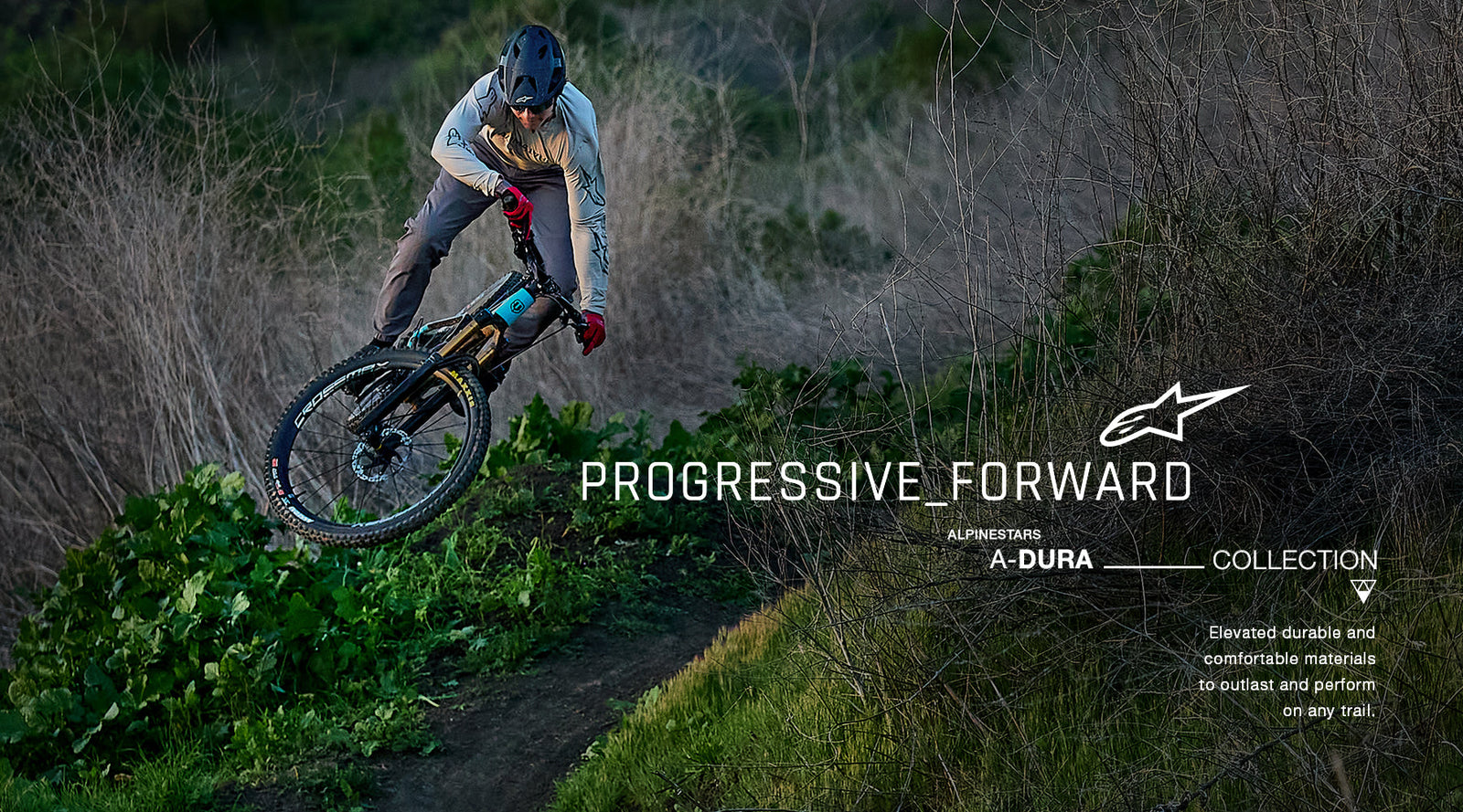 Image 35948858179820