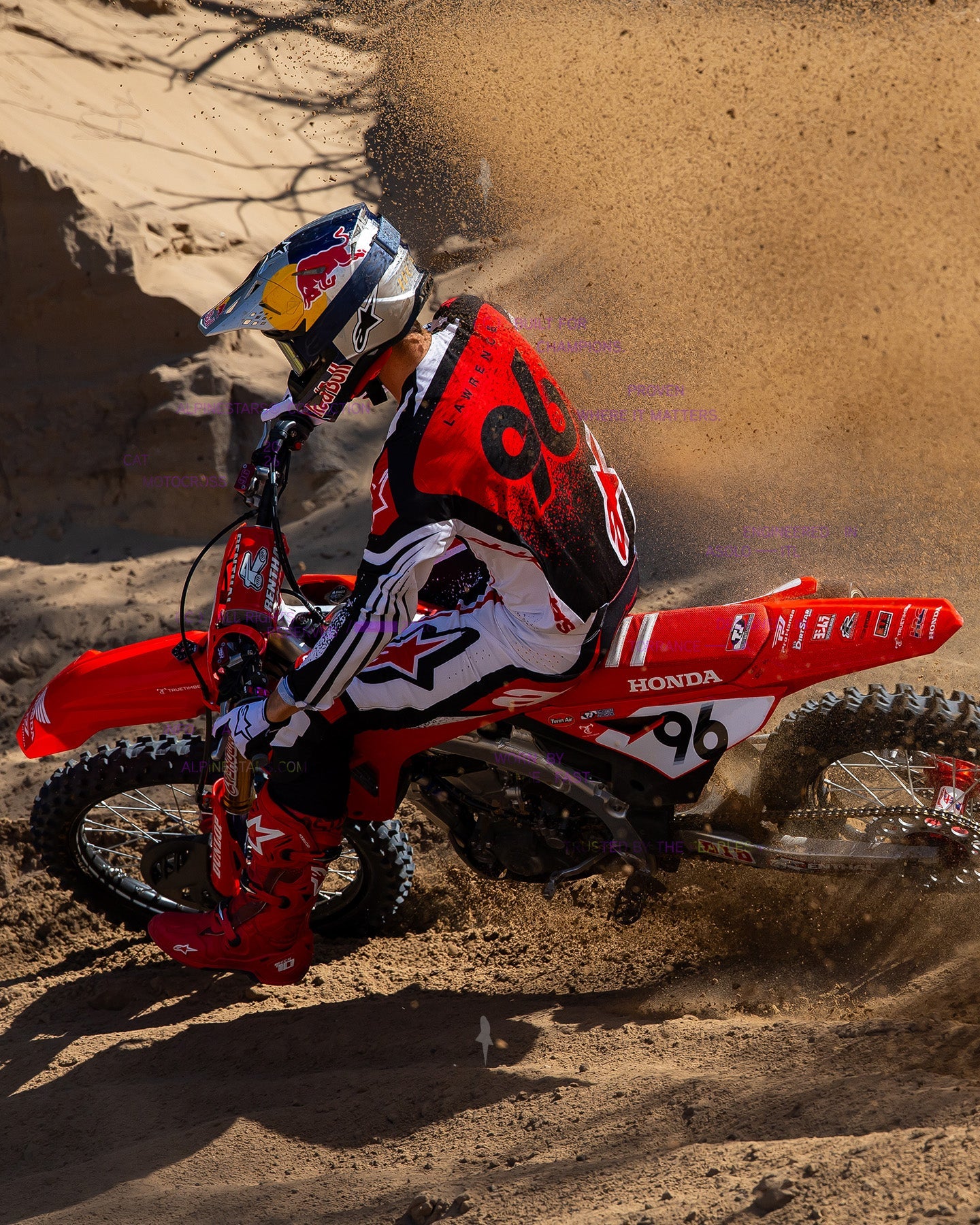 Image 35948855165164