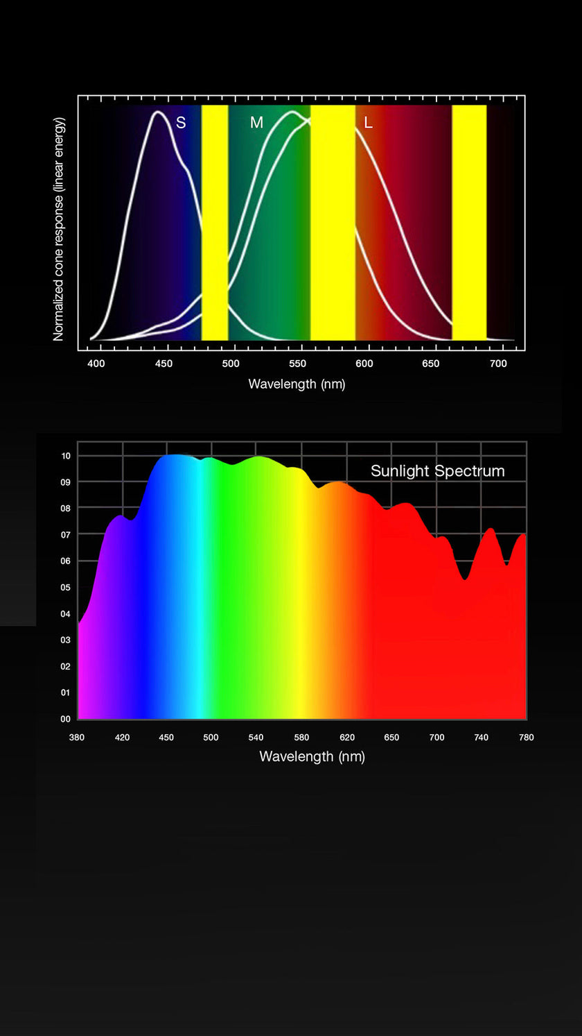 Image 34105909772524