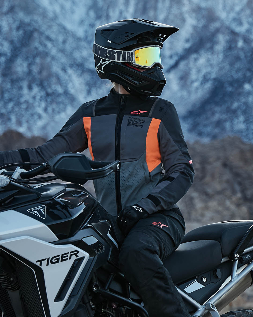 Image 36020706574572