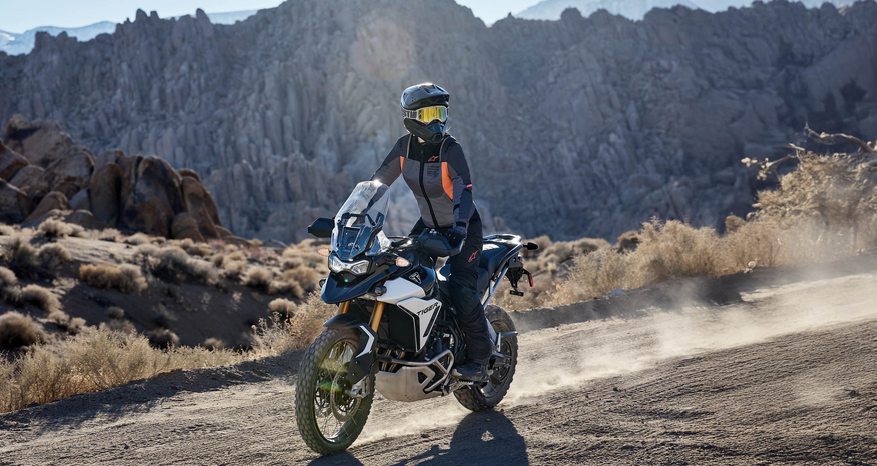 Image 36020706640108