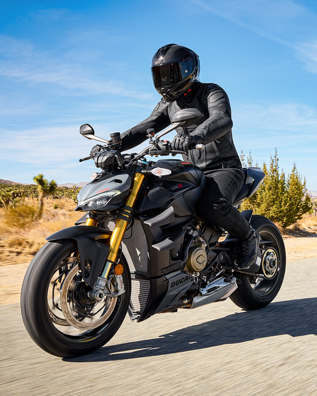 Dusk Leather Jacket - BLACK RACING/SPORT Jackets