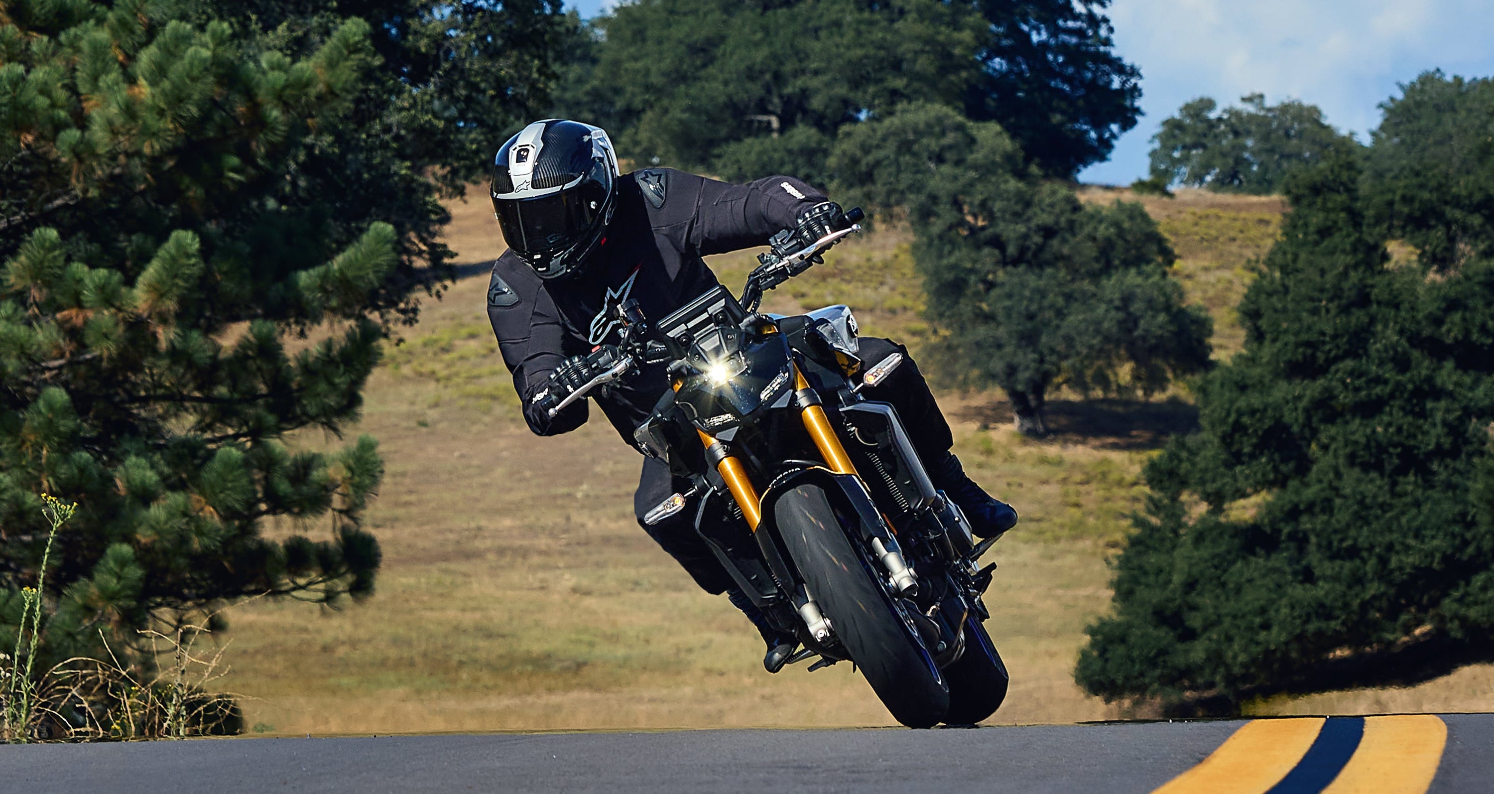 Image 36040527806700