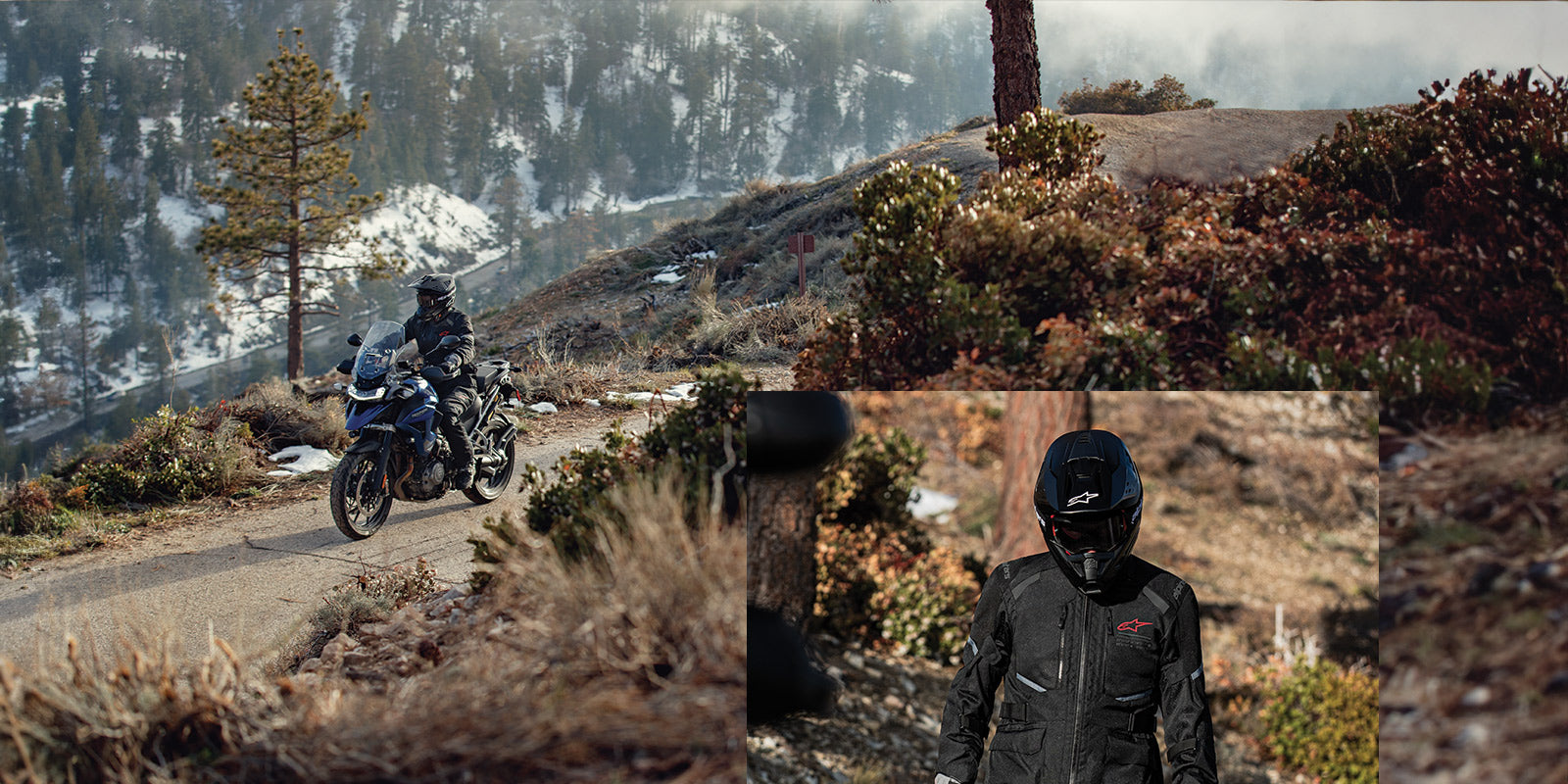 Image 36020700381420